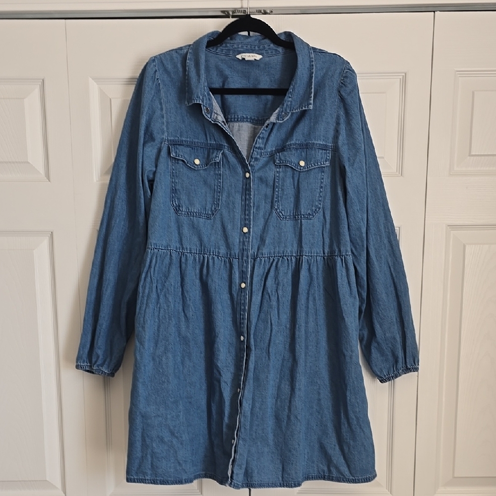 American Eagle Denim Button Down Dress